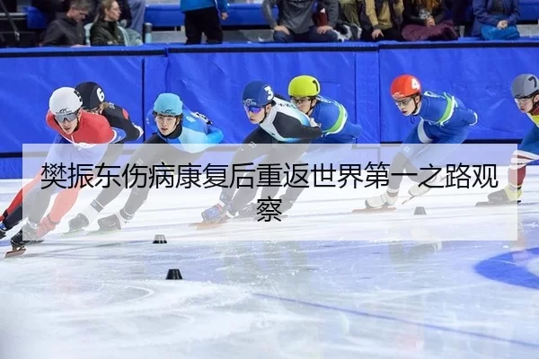 樊振东伤病康复后重返世界第一之路观察