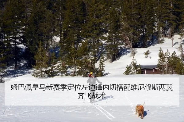 mu-ba-pei-huang-ma-xin-sai-ji-ding-wei-zuo-bian-feng-nei-qie-da-pei-wei-ni-xiu-si-liang-yi-qi-fei-zhan-shu-2-481.jpg