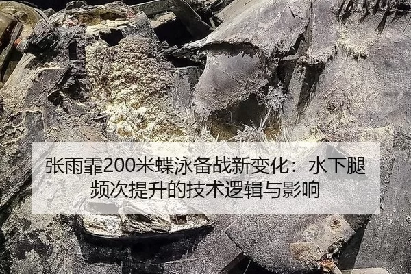 zhang-yu-fei-mi-die-yong-bei-zhan-xin-bian-hua-shui-xia-tui-pin-ci-ti-sheng-de-ji-shu-luo-ji-yu-ying-xiang-3-779.jpg